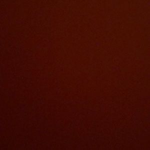 Meet your Posher, Sandy